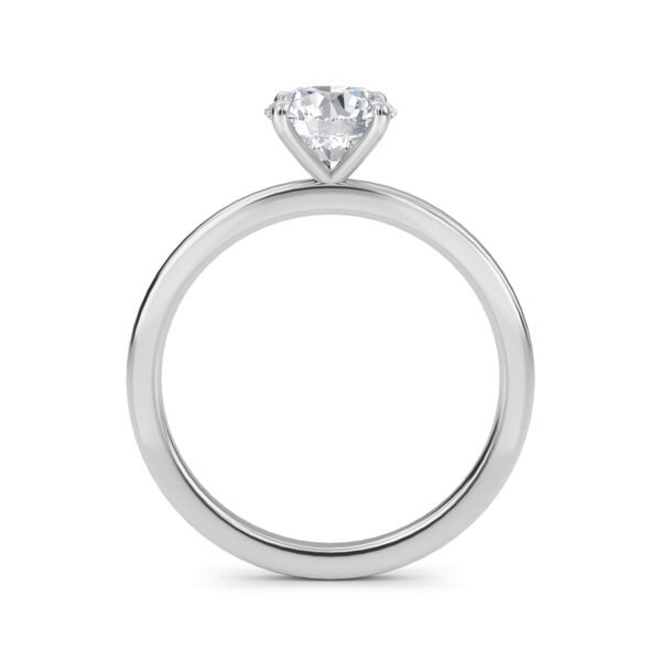 Petite Elegance Nail Prong Solitaire Lab-Grown Diamond Ring Owolite 1